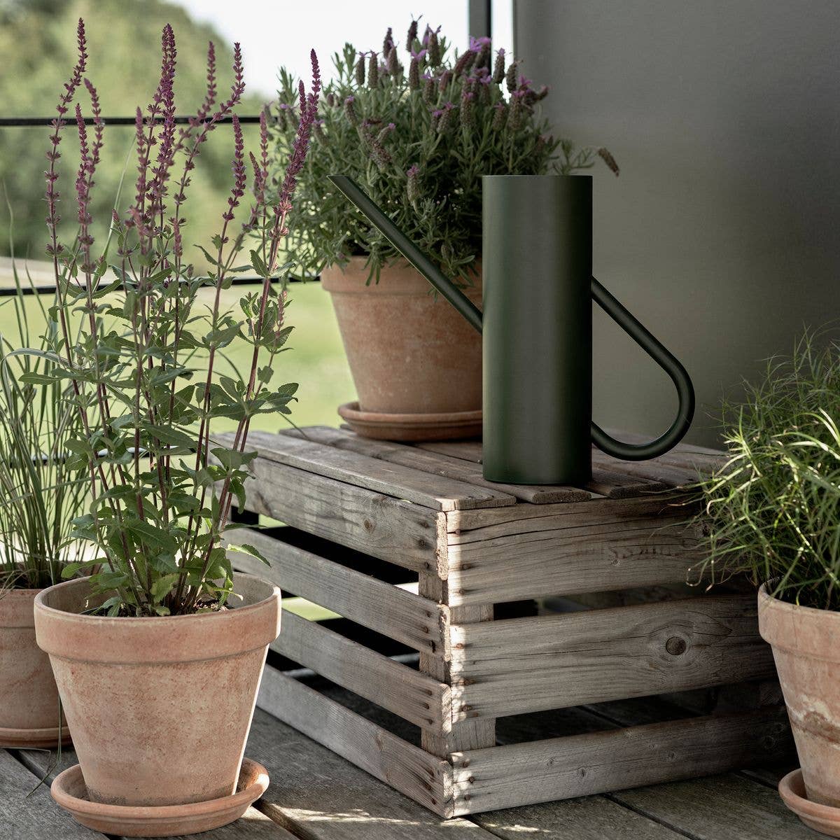 Stelton Bloom Watering Can in matte dark green powder-coated stainless steel with long slender spout and seamless handle design.