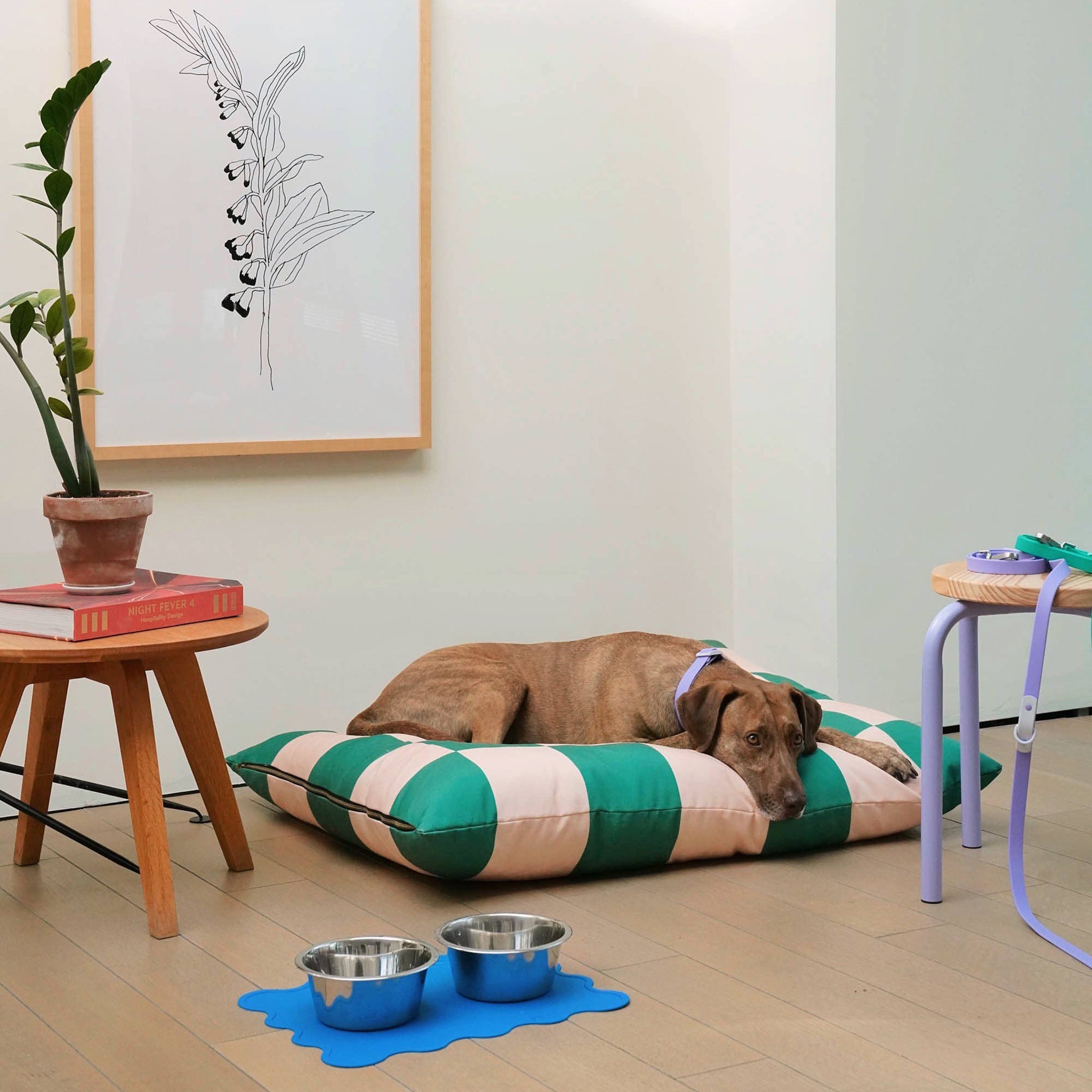 Dog lying on an eco-friendly modern dog bed in checkered pattern, made from Better Cotton™ canvas with recycled PET fill in a room with a plant, books, and a small table.