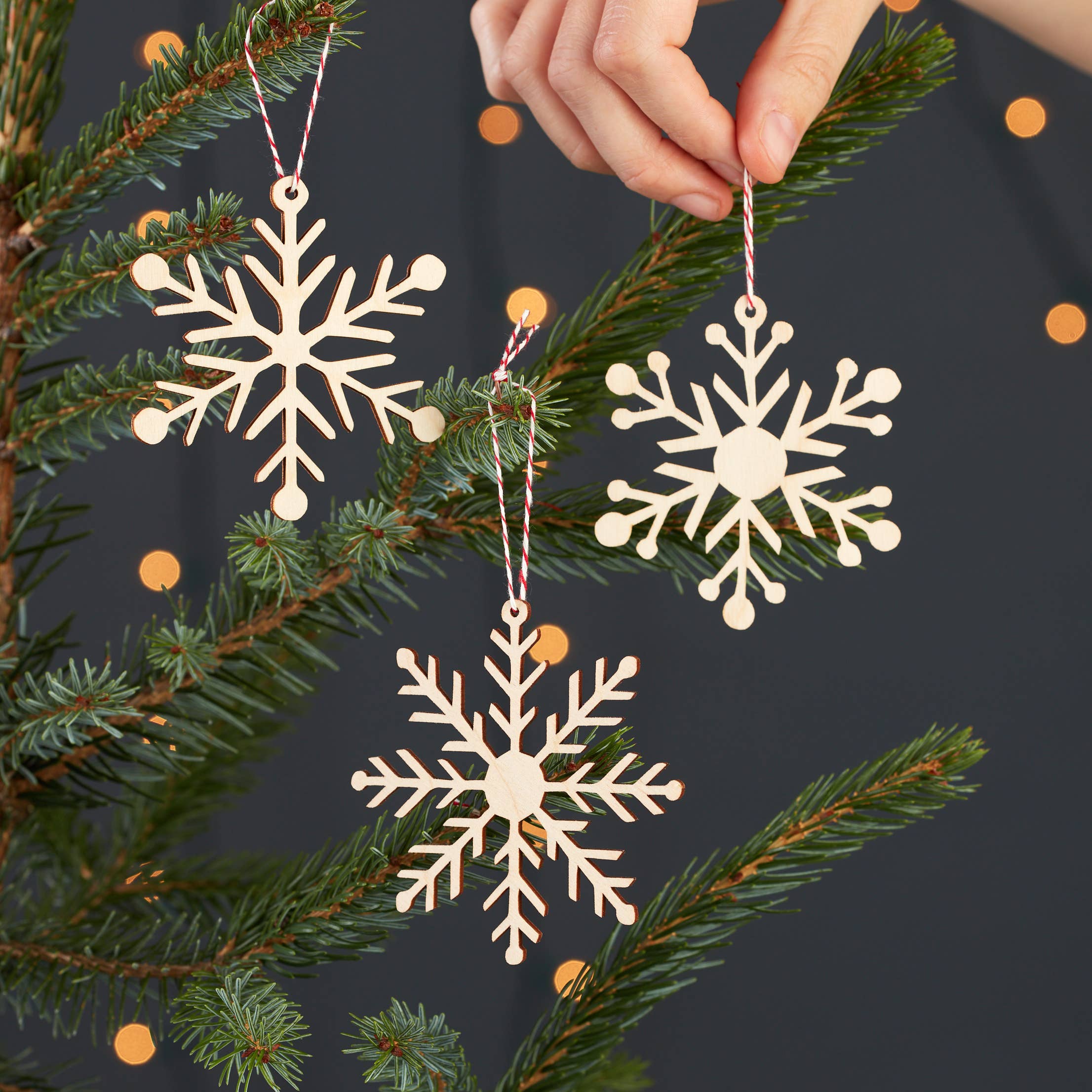 Simple Snowflake Ornament Set