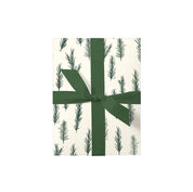 Douglas Fir Gift Wrap