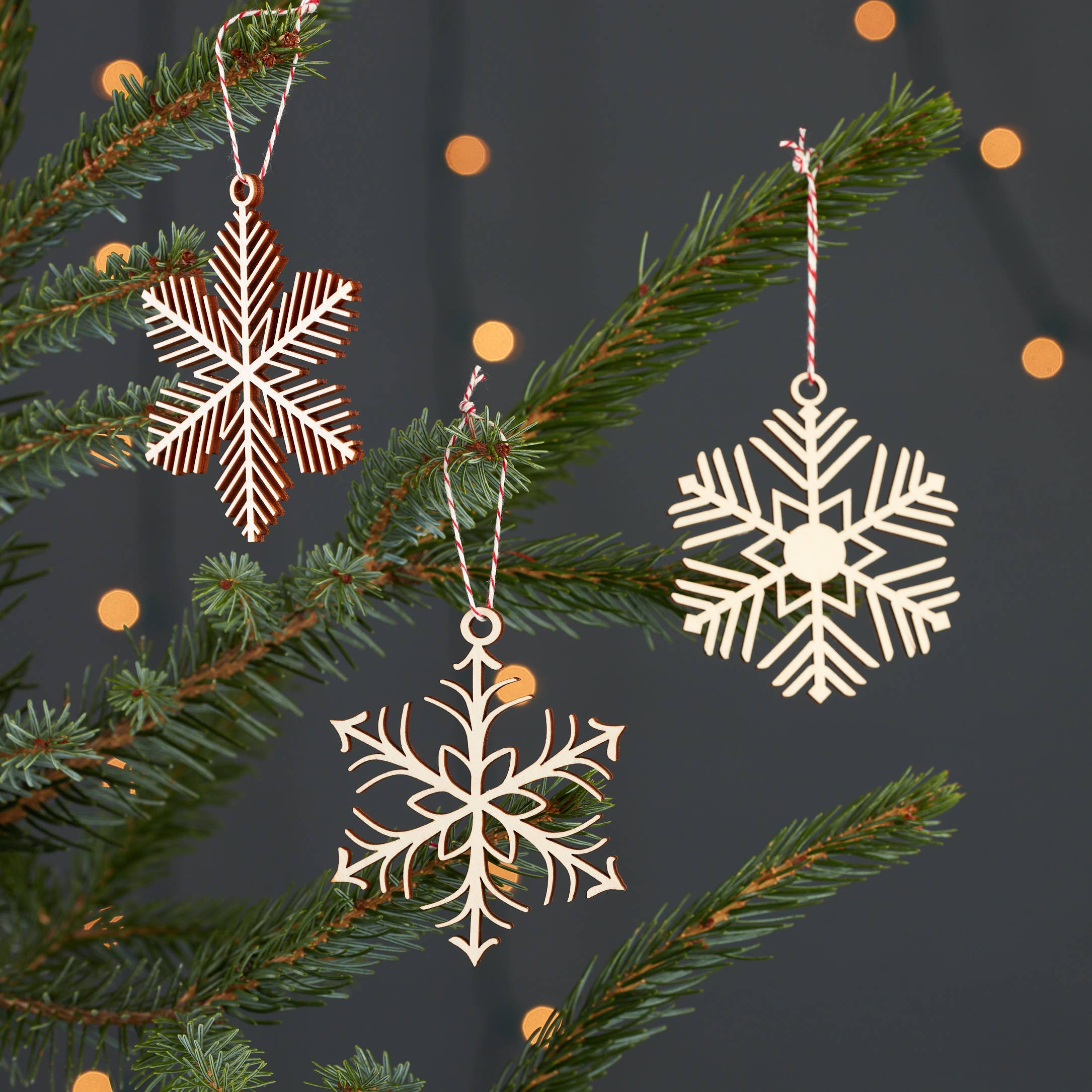 Delicate Snowflake Ornament Set