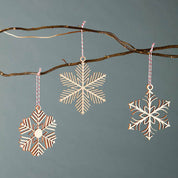 Delicate Snowflake Ornament Set