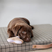 OYOY Ashi Dog Toy in Lavender / Amber stripes, Nordic design sustainable dog toy made from recycled polyester with handle