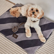 OYOY Kaya Dog Blanket, medium size, black with bold stripes, soft fleece for cozy pets.