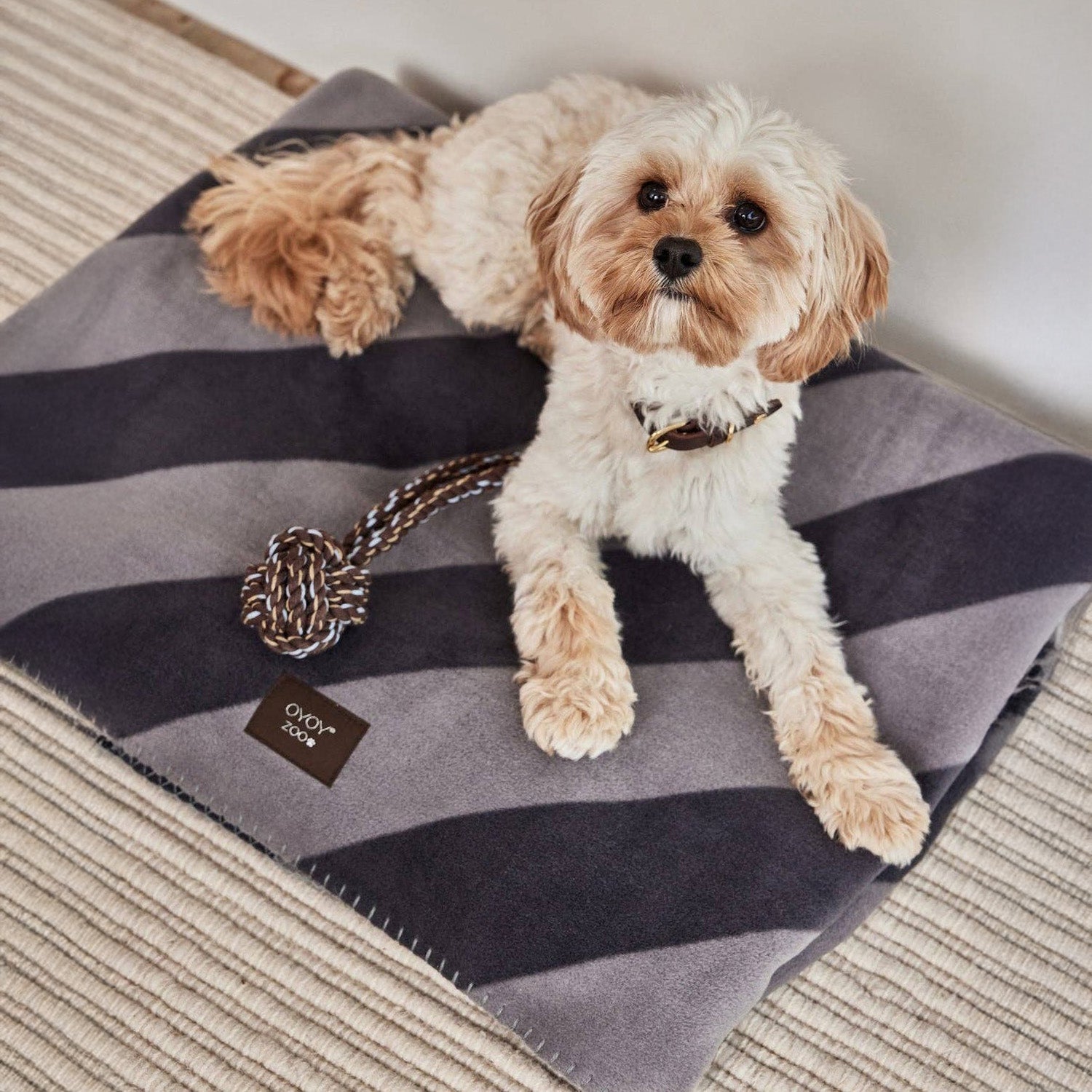 OYOY Kaya Dog Blanket, medium size, black with bold stripes, soft fleece for cozy pets.