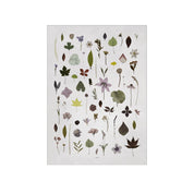 Poster & Frame Bloom Poster by Anne Mark Møller. 50 × 70 cm Scandinavian art print with abstract floral design. Rolled, unframed print.