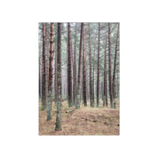 Fyrreskov Poster by Poster & Frame featuring a colorful pine forest illustration. 50 × 70 cm Scandinavian wall art printed on FSC®-certified matte paper.