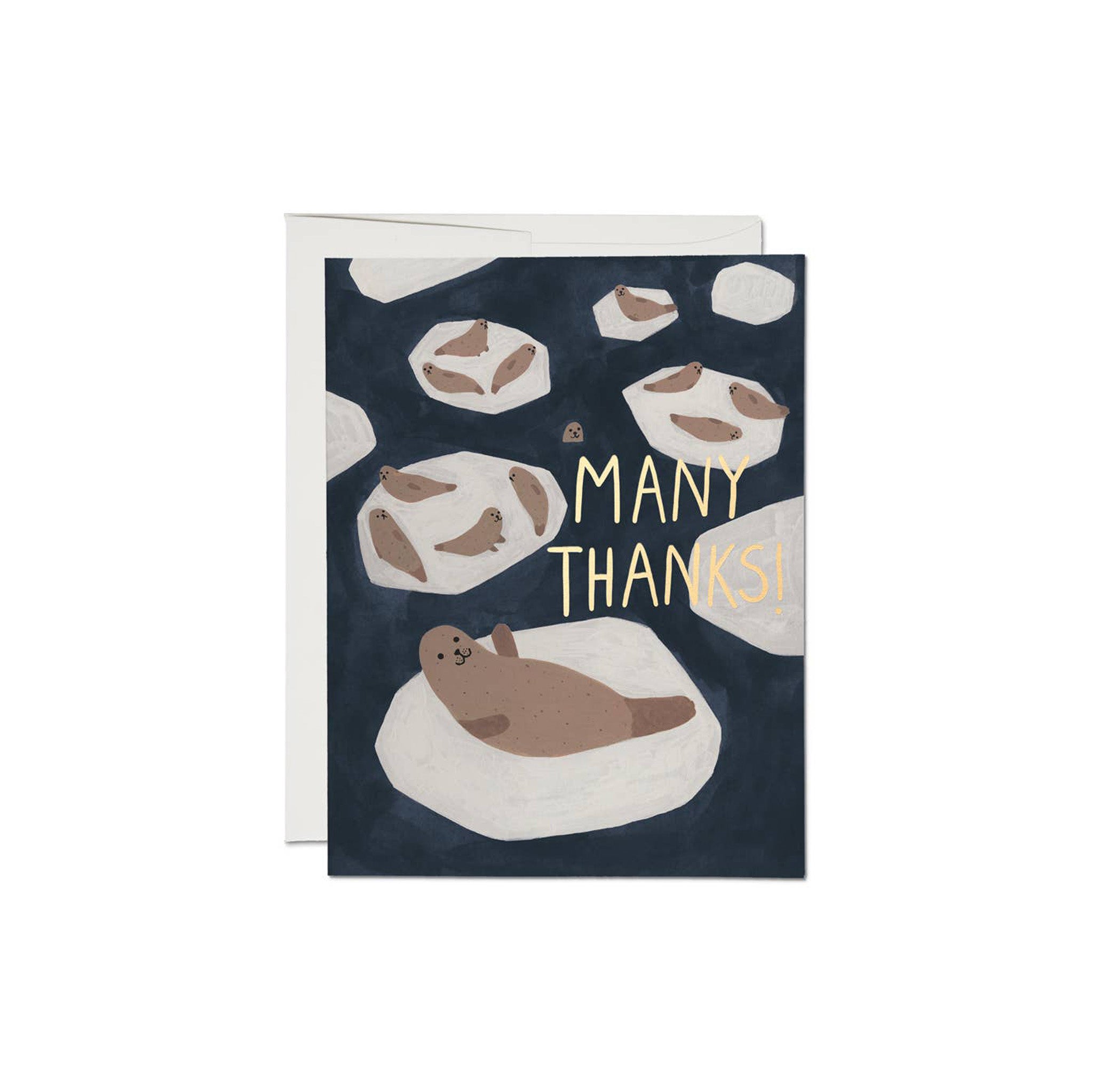 Red Cap Cards Many Thanks Seal Greeting Card, illustrated by Kate Pugsley. Seal illustration with foil accents on recycled card stock, 4.25 × 5.5 inches, blank inside.